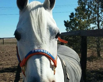 Custom made , Personalized, monogrammed nylon horse, pony halters, dog collars  , can make any size-- and most colors ---just send a message