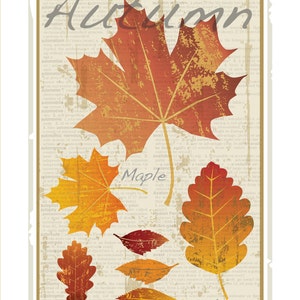 Para imprimir otoño hojas cartel, imprimir de otoño, Grabado Botánico, DIY cartel de otoño, otoño hojas arte, otoño para imprimir póster, impresión de la hoja de arce,