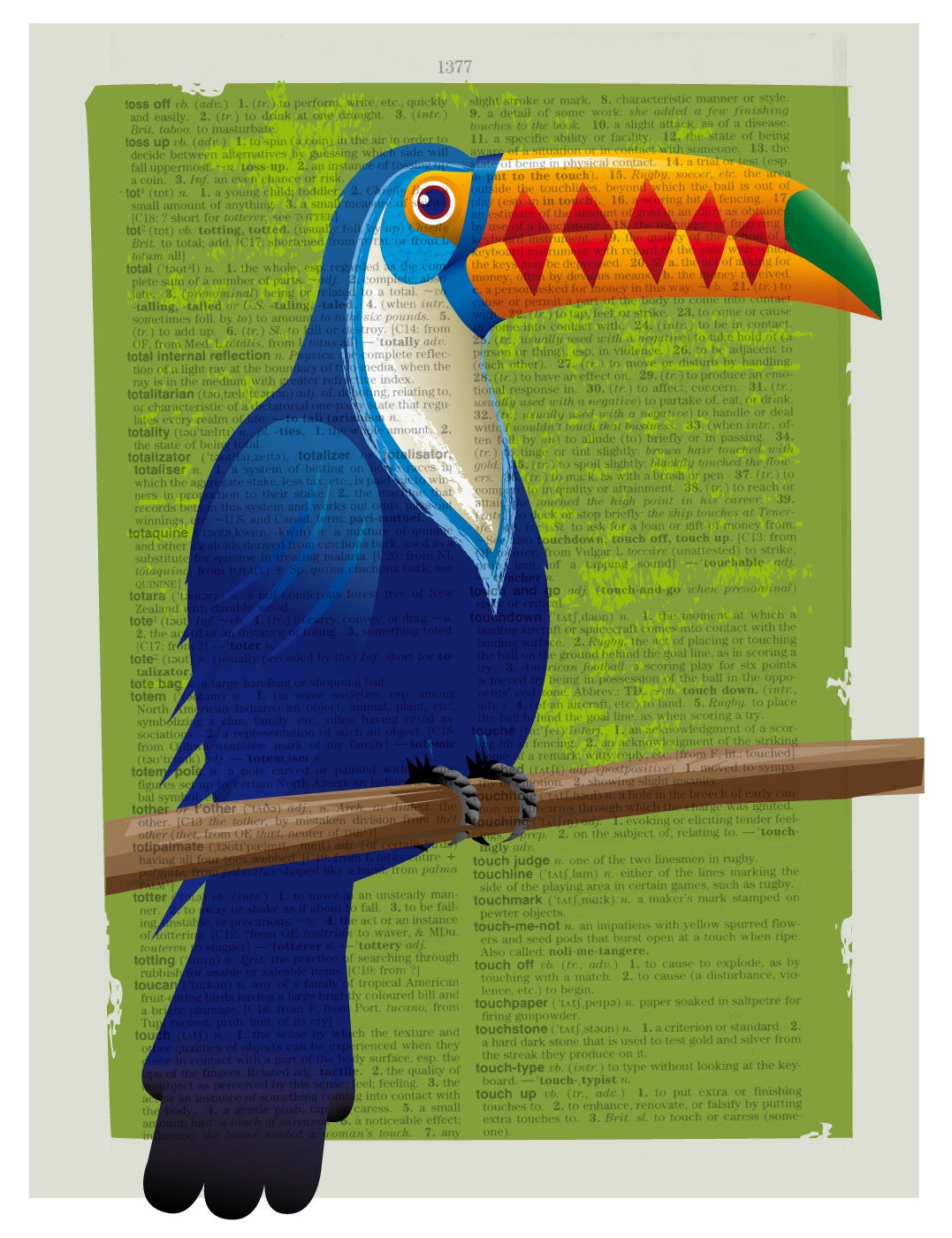 Bird art BirdToucan Toucan Print Toucan Poster Toucan Etsy