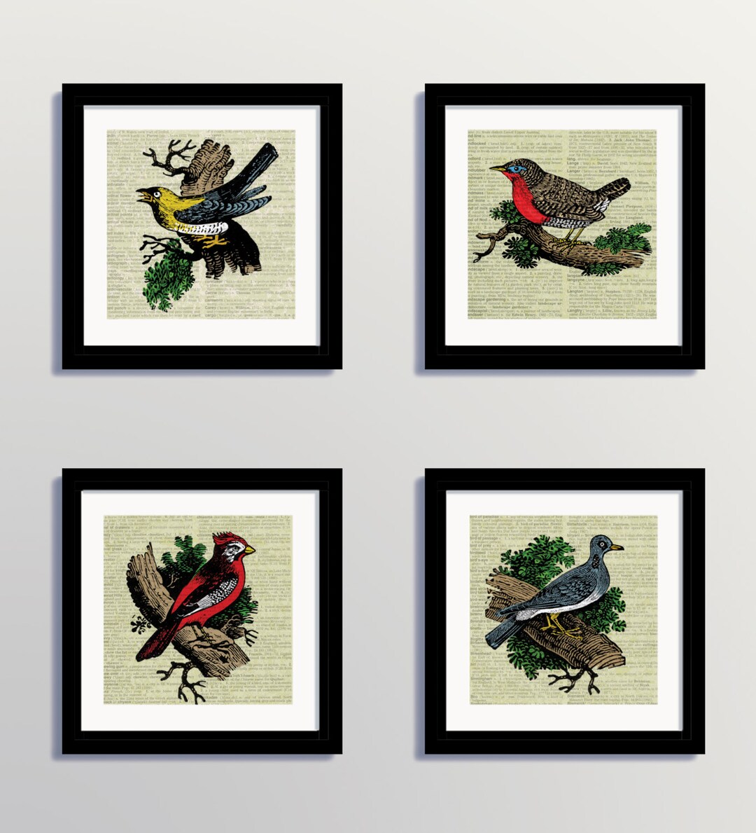 Vintage Bird Prints, Vintage Poster, Antique Bird Print, Birds