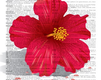 Cartel de hibisco imprimible, impresión de flores imprimible, impresión de hibisco descargable, cartel de flores imprimible, impresión de flores, impresión de diccionario,