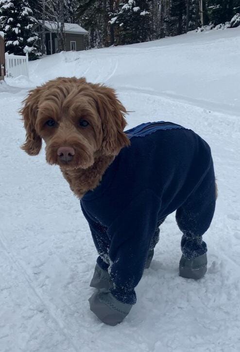 Dog Winter Clothes Small Dog Snowsuit With Feet Winter Puppy Coat