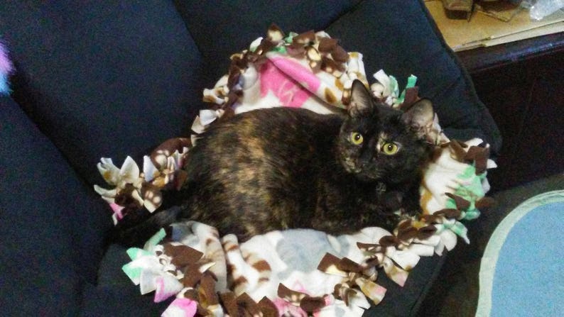 The background is creme with multi-colored cats Small Cat Throw in 100/% Glacier poly fleece What a fun cat throw! Size is 24x 24.