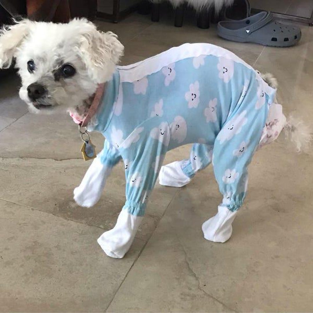 犬服・アクセサリー work clothes for dogs Kuoser Large Pet Onesie Shirt, Dog Surgical Recovery Suit, Green