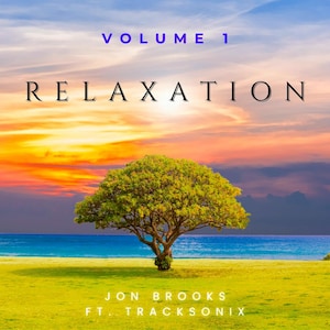 Puede incluir: Portada de álbum con un árbol en un campo de hierba, con el océano y una colorida puesta de sol de fondo. El texto "VOLUME 1 RELAXATION" está en la parte superior y el nombre del artista en la parte inferior.