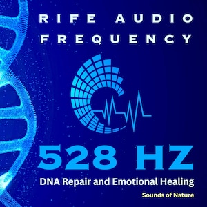 高音質 Refference Recordings CD まとめ 高音質 Refference Recordings CD まとめ 【公式通販】