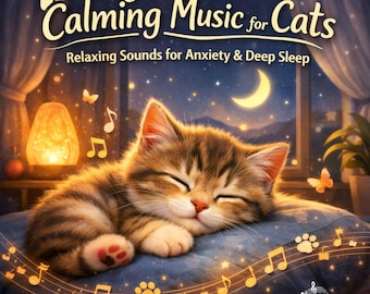 Beruhigende Musik für Katzen-CD - Entspannend bei Angst, tiefer Schlaf - TrackSonix Ambient New Age