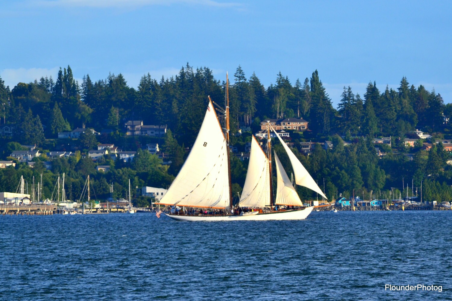 Sailing Vessel Zodiac sails out of Bellingham Bay sailing Etsy