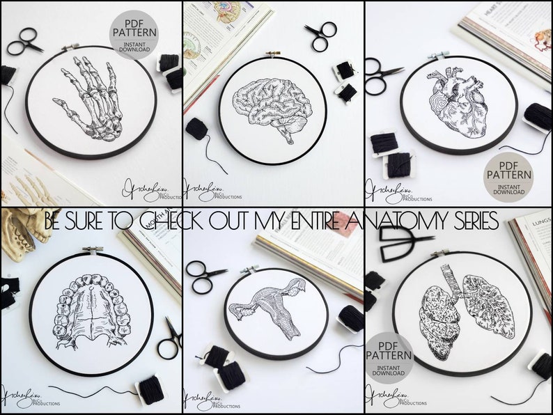 Skeletal Hand Embroidery Series DIY Stitch KIT Beginner Friendly, Pattern, Guide, Supplies, DIY Embroidery, Anatomy Art BeCoProductions image 10