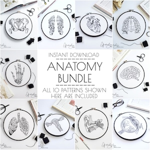 Anatomy Embroidery Series BUNDLE - DIY Digital Download - PDF Pattern - Modern Embroidery - Anatomy Art (BeCoProductions) Skeletal Art