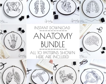 Anatomy Embroidery Series BUNDLE - DIY Digital Download - PDF Pattern - Modern Embroidery - Anatomy Art (BeCoProductions) Skeletal Art