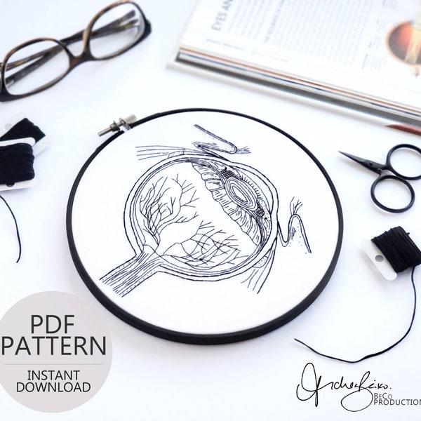 Eyeball Anatomy Embroidery Pattern - DIY Digital Download - PDF Pattern - Modern Embroidery, Anatomy Art, Optometrist Gift (BeCoProductions)