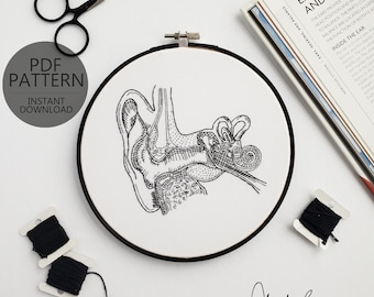 Anatomía del oído y del oído interno - Patrón y guía de bordado en formato PDF para descarga digital