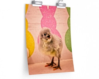 Adorable Fluffy Chick Easter Photo Pastel Pink Bunny Premium Matte vertical poster