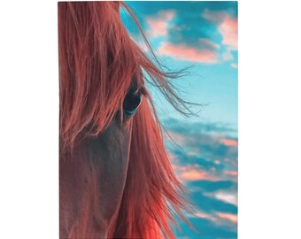 Mooi paardenoog close-up portret zonsondergang hemel wolken fluwelen pluche deken