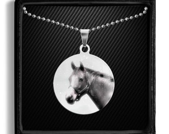 Knappe koninklijke paardenhoofd hanger ketting