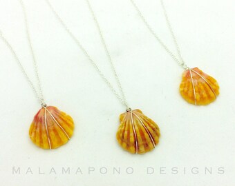 Beautiful Hawaiian sunrise shell pendant in sterling silver or 14k gold filled