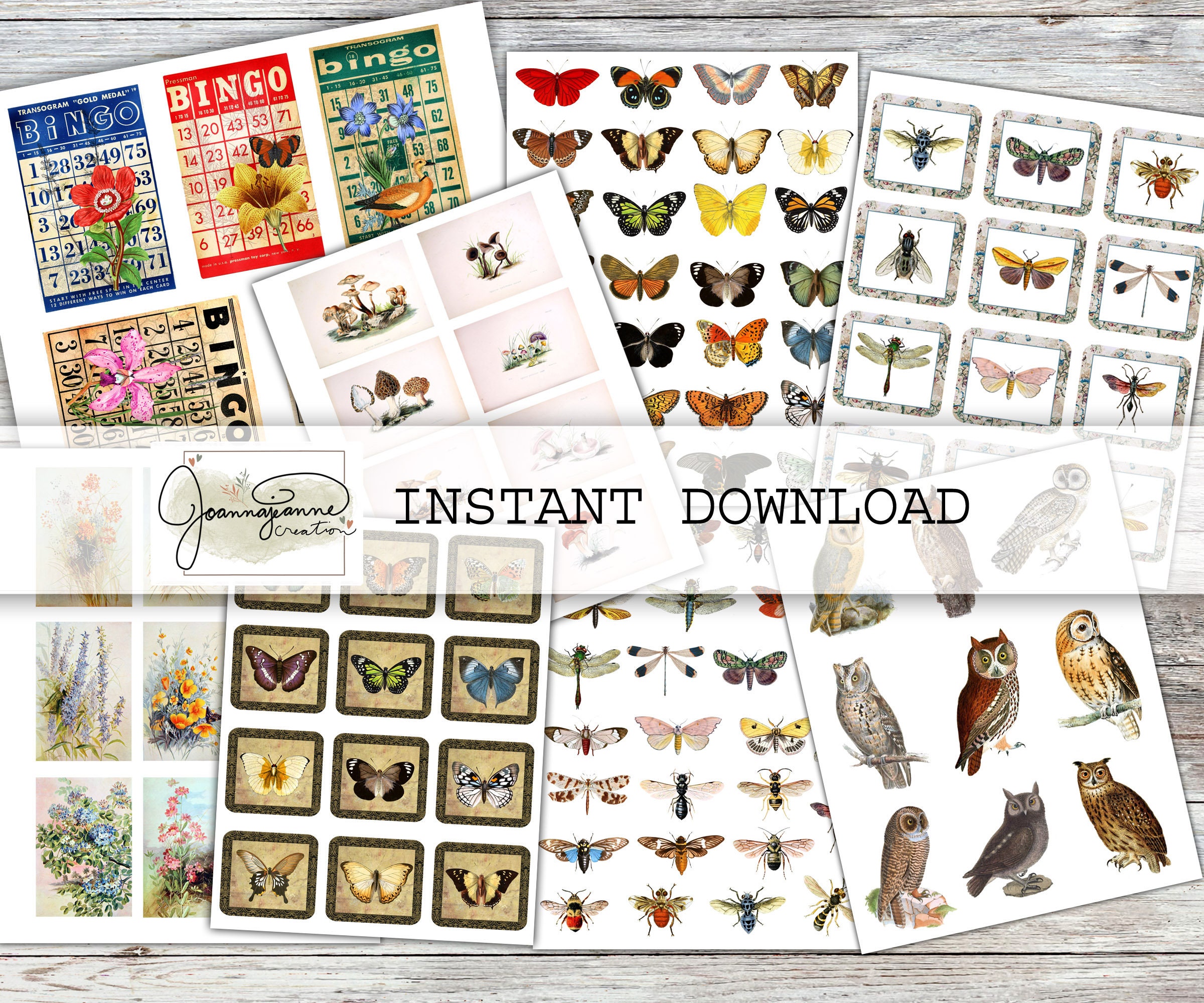Printable Junk Journal Embellishments, Digital Download, Owls, Bingo Cards, Mushrooms, Insects, Flow