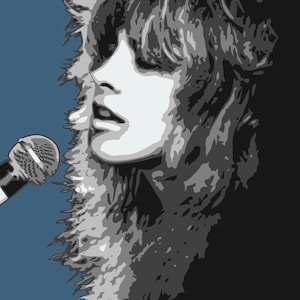 Stevie Nicks - giclee print
