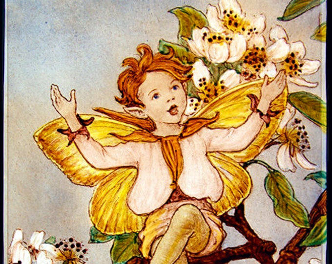 Fairy stained glass, Fairie suncatcher, flower fairy, pear blossom suncatcher, pear blossom, flower fairies, fantasy suncatcher, great gift