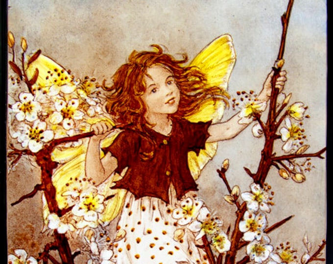 Fairy stained glass, Fairie suncatcher, flower fairy, Blackthorn suncatcher, blackthorn, flower fairies, fantasy suncatcher, nice gift, gift