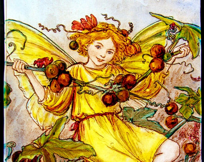 Fairy stained glass, Fairie suncatcher, flower fairy, white bryony, flower stained glass, flower fairies, fantasy suncatcher, beautiful gift