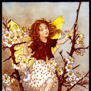 Fairy stained glass, Fairie suncatcher, flower fairy, Blackthorn suncatcher, blackthorn, flower fairies, fantasy suncatcher, nice gift, gift