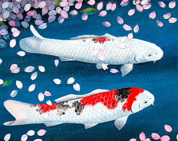 Japan ceramic decals, Japanese ceramic decals,decals, Japan, koi ceramic decals, ceramic decal sheet, koi decals, Japan, nishikigoi, コイ, koi