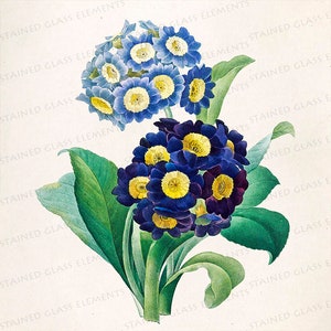 May include: A bouquet of blue and purple flowers with yellow centers. The flowers are arranged in a cluster and have green leaves.