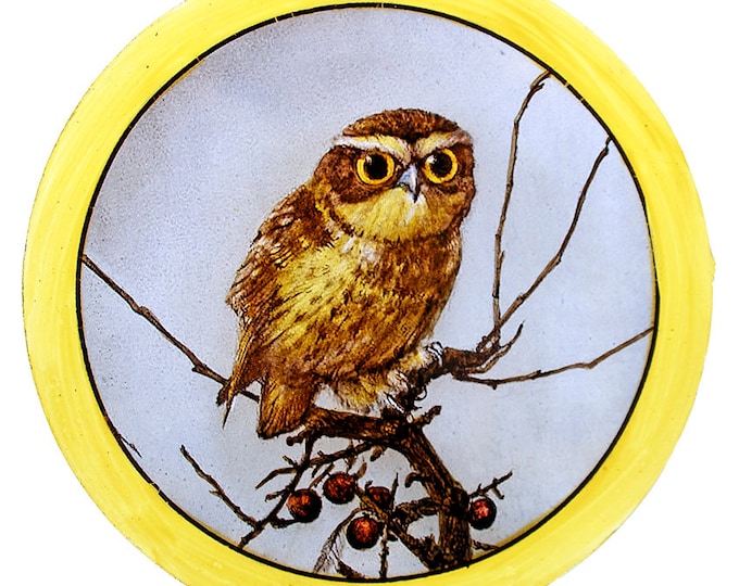 Owl stained glass roundel kilnfired handpainted bird victorian style and vintage look vitreous paints and silver stain a beautiful gift idea