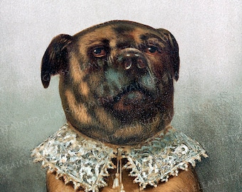 Dog ceramic decal, dog, victorian dog, funny dog decal, victorian decals, decals enameling, decals glas, funny decals, dog ceramic transfer