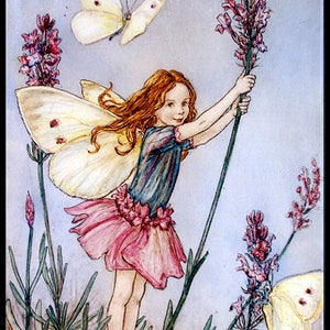 May include: A fairy with red hair and a pink dress holds a stalk of lavender flowers. She has butterfly wings and there are two butterflies in the image. The background is a light blue.