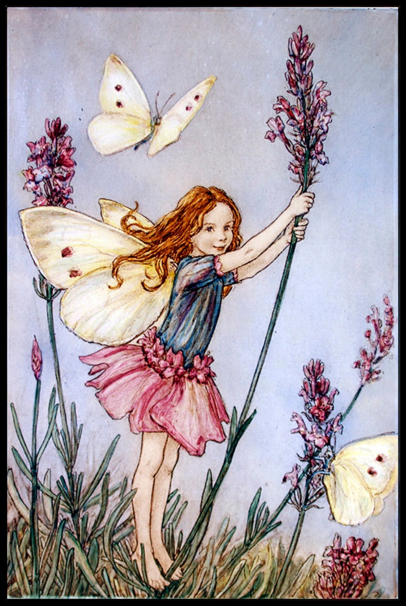 May include: A fairy with red hair and a pink dress holds a stalk of lavender flowers. She has butterfly wings and there are two butterflies in the image. The background is a light blue.
