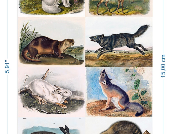 Animals vintage ceramic decals waterslide transfers for decoration of ceramics glassfusing enameling firing temp 720-800 ºC or 1328-1472 ºF