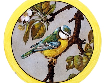 Great Tit stained glass kilnfired roundel a beautiful victorian bird suncatcher handcrafted window decoration for your home,l'oiseau vitrail