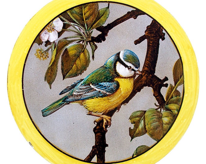 Great Tit stained glass kilnfired roundel a beautiful victorian bird suncatcher handcrafted window decoration for your home,l'oiseau vitrail