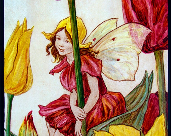 Fairy stained glass, Fairie suncatcher, flower fairy, tulip suncatcher, tulip stained glass, flower fairies, fantasy suncatcher, great gift