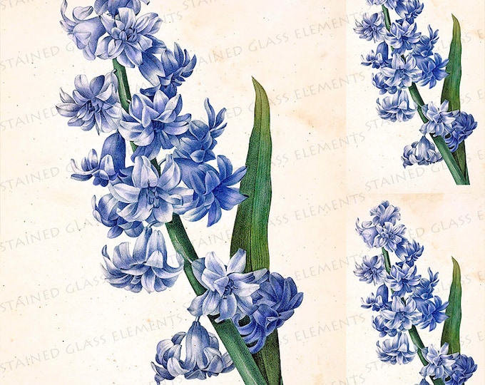 Hyacinth ceramic decals botanical vintage fusible transfer flower motifs for decoration of ceramics glassfusing glasstiles and enameling