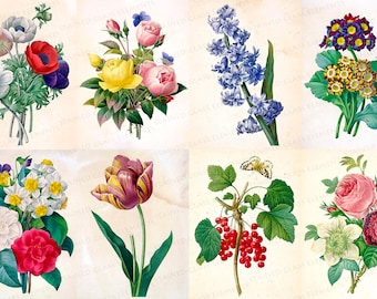 Decalques florais para cerâmica, motivos florais, transferências termocolantes para decoração de cerâmica, fusão de vidro, azulejos de vidro e esmaltação, estilo botânico vintage.