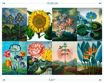 Flowers ceramic decals flower waterslide transfers for decoration of ceramics glass fusing enameling firing temp 720-800 ºC or 1328-1472 ºF
