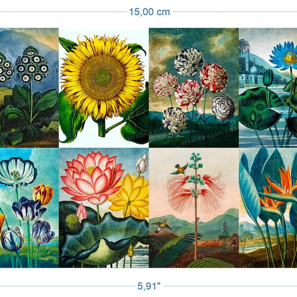 Ceramic Decals for Firing Etsy