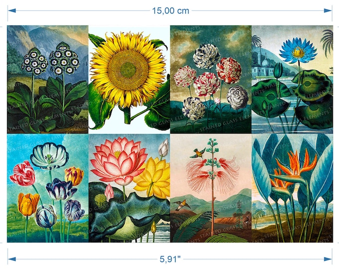 Flowers ceramic decals flower waterslide transfers for decoration of ceramics glass fusing enameling firing temp 720-800 ºC or 1328-1472 ºF