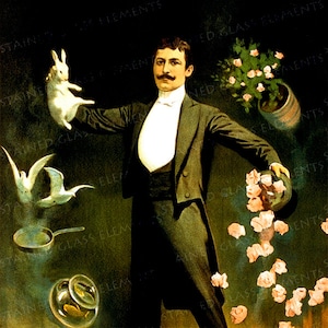 Könnte beinhalten: Ein Zauberer im Smoking führt Zaubertricks vor. Er hält ein weißes Kaninchen in seiner rechten Hand und einen Zylinder in seiner linken Hand.  Rosa Rosen fallen aus dem Hut.  Zwei weiße Tauben fliegen in der Luft, und eine Pfanne und eine goldene Schale liegen auf dem Boden.