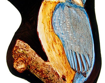 Kingfisher stained glass, kilnfired, glasspainting, kingfisher suncatcher, kingfisher glass fragment, suncatcher, stained glass fragment