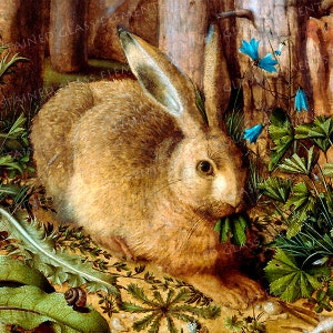 Keramiska dekaler med hare, hare, haretransfer, djurdekaler, klassiska dekaler, emaljerade dekaler, glasdekaler, keramikdekaler, hängendekaler