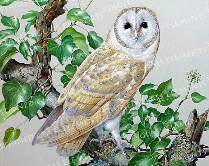 Owl ceramic decal, owl, decals fusible, fusible transfers, glass decals, birds ceramic decals, owl ceramic transfer, owl ceramic transfer