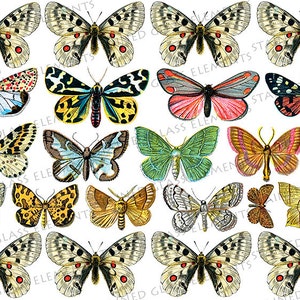 Puede incluir: Un collage digital de 16 ilustraciones de mariposas coloridas. Las mariposas están en varias poses y tienen diferentes patrones de alas. El fondo es blanco.