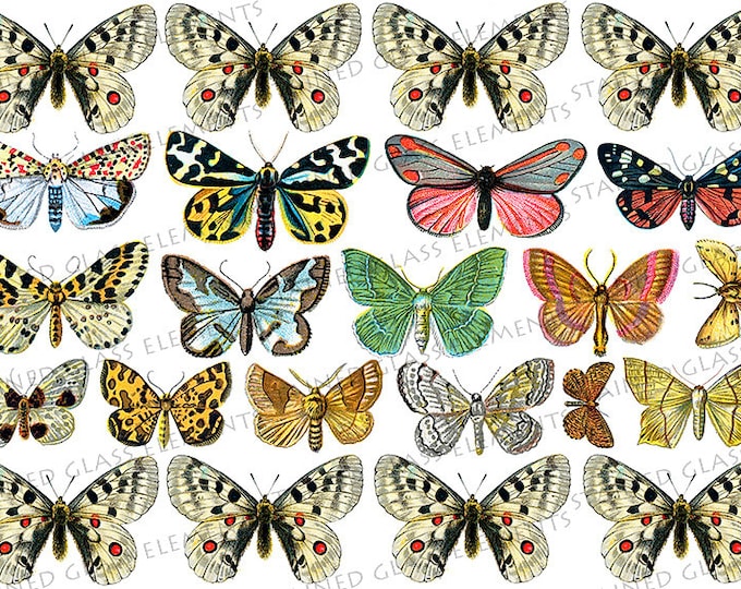 Ceramic decals butterflies, butterfly decal, fusible transfers, waterslide transfer, decals for glass, decals ceramics, decals enameling