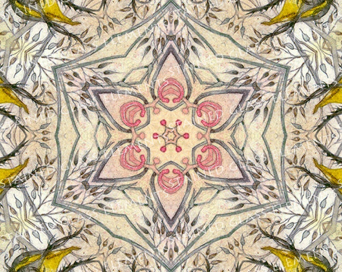 Ceramic decals, kaleidoscope, 750-850ºC, fusible transfers, image transfers, decals for enameling, decals kaleidoscope, decals hot glass