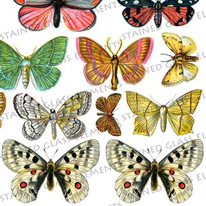 Ceramic Decals Butterflies, Butterfly Decal, Fusible Transfers ...